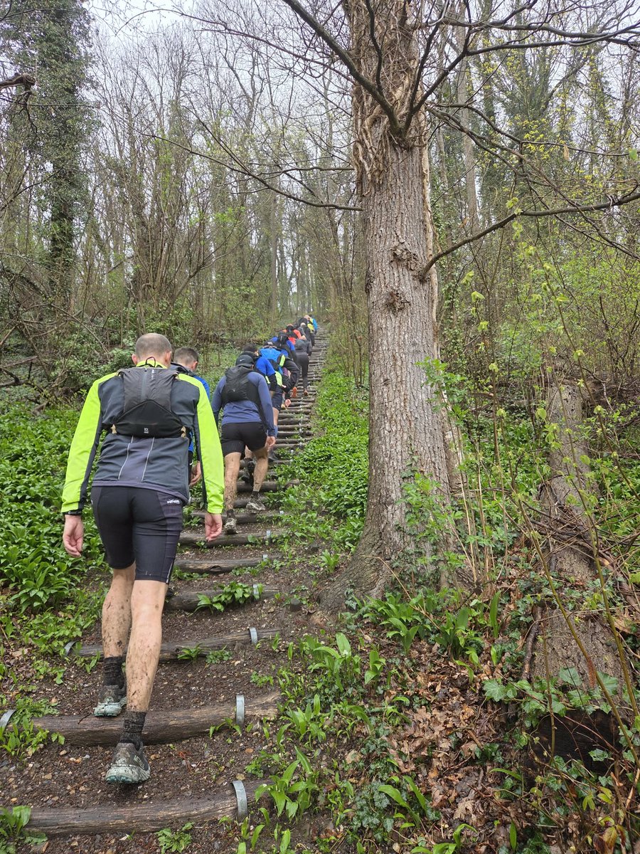 Bobke125 tweet media