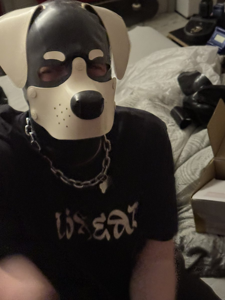 WRUFF tweet media