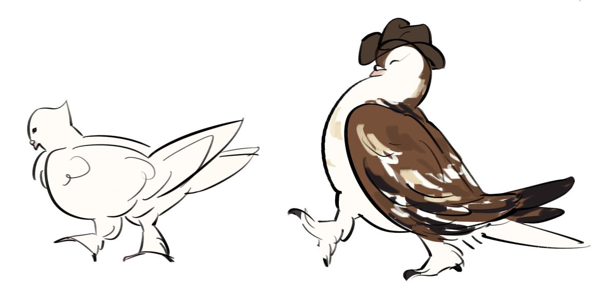 .✦ ݁˖ soy 🚦 tweet media