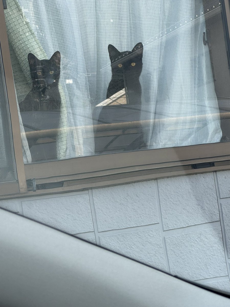 やすこ tweet media