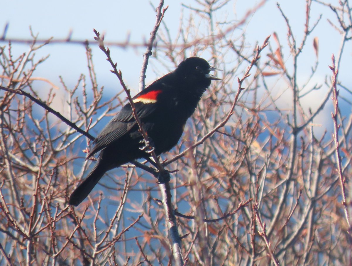 Alexandra Wang tweet media