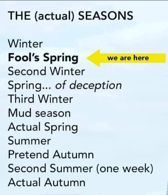 John Michael Leslie tweet media