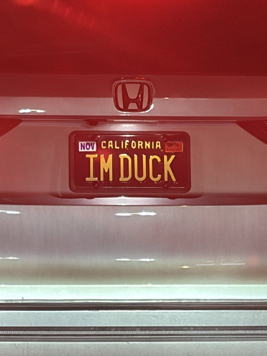 Emily Faye tweet media