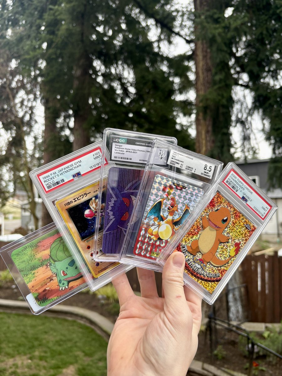 DachshundWizard 🧙♂️ tweet media