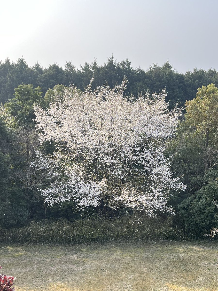 たるぼっち tweet media