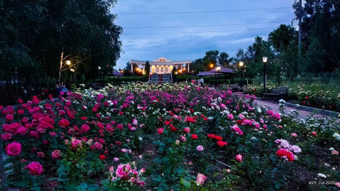 боровичок tweet media