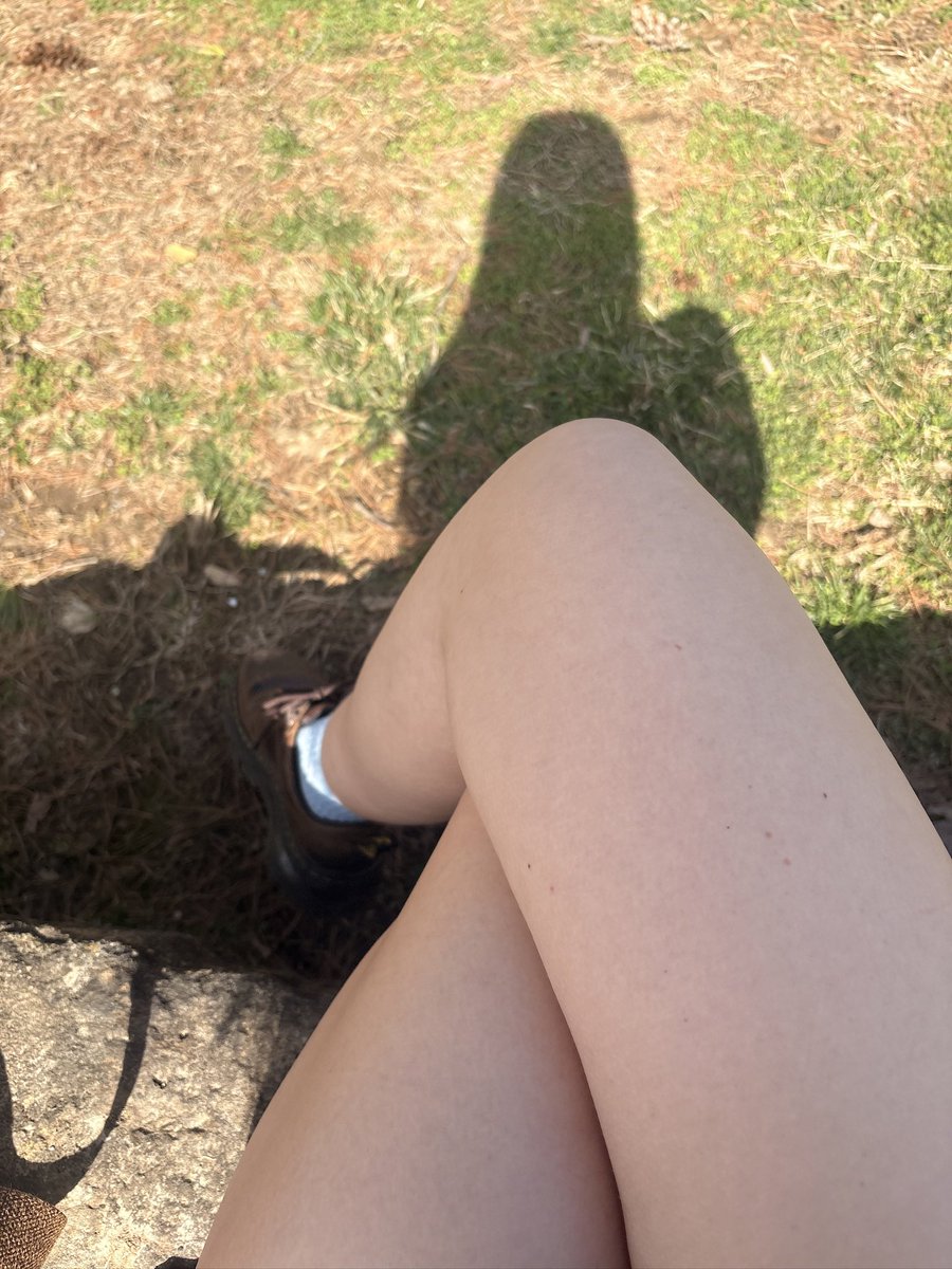 🐾🐶 tweet media