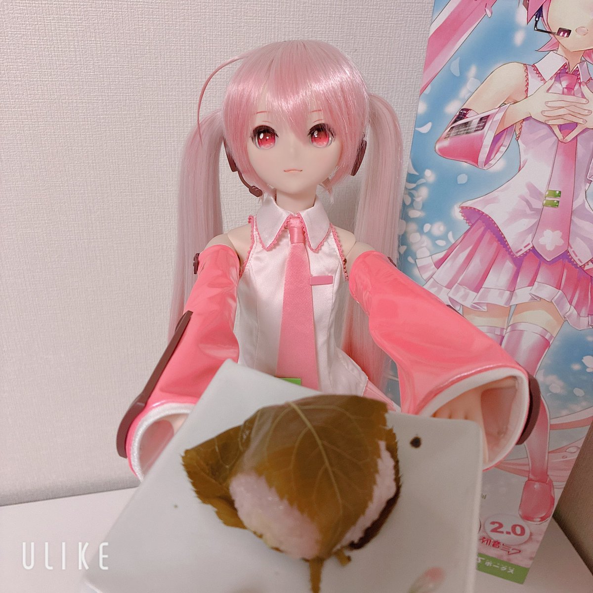 きりはね tweet media