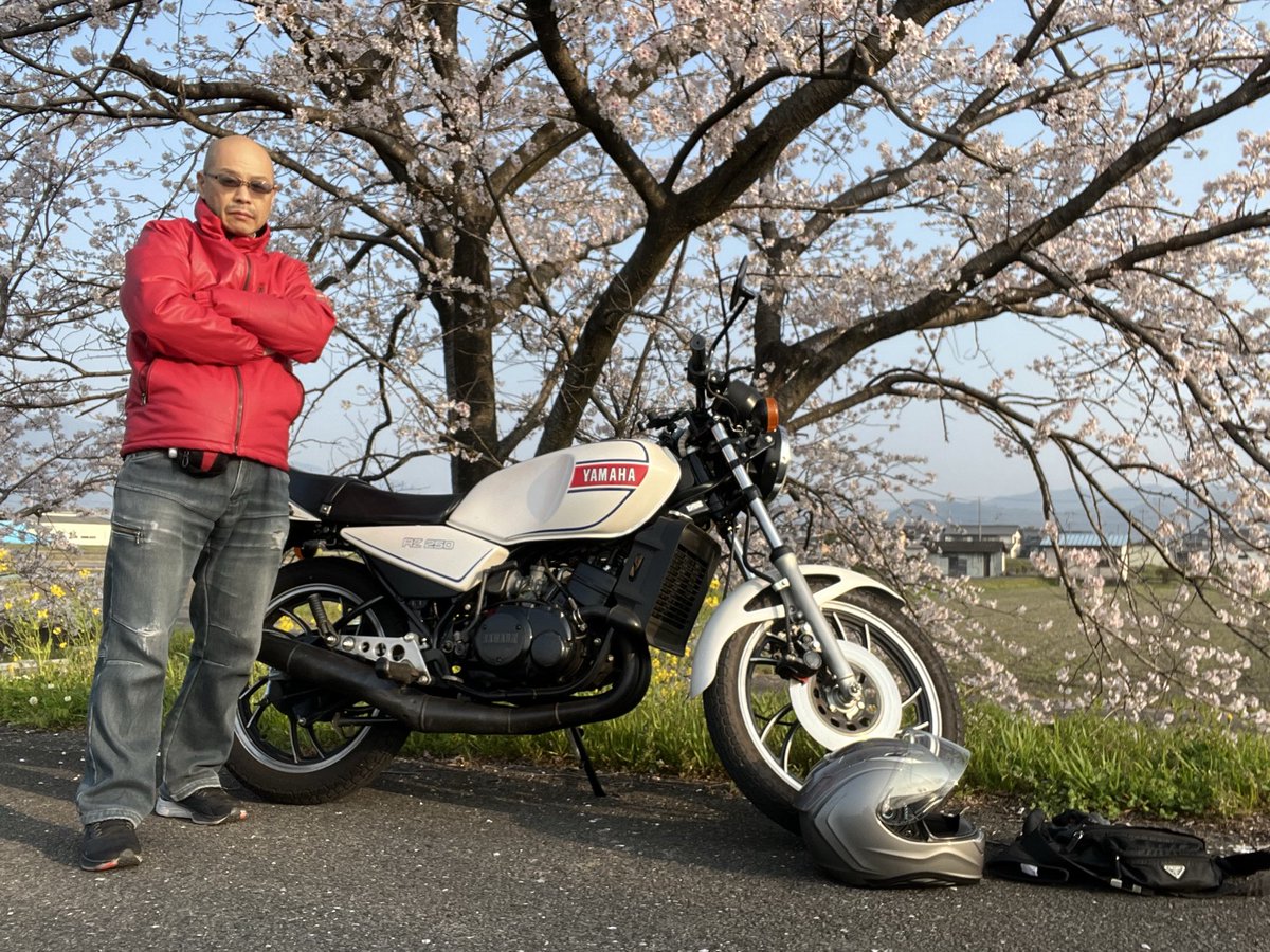 ギフYP273 🏝 やっさん tweet media