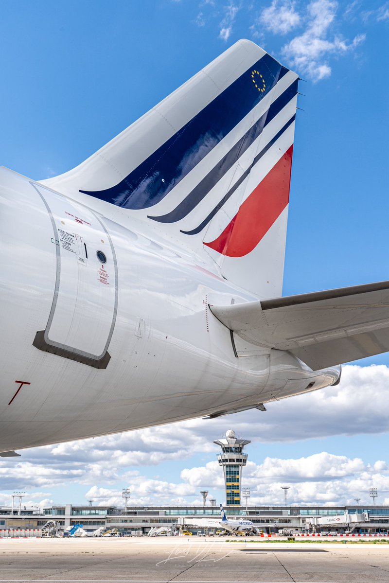 Level DLB tweet media