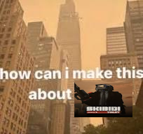 CesarTheCat tweet media