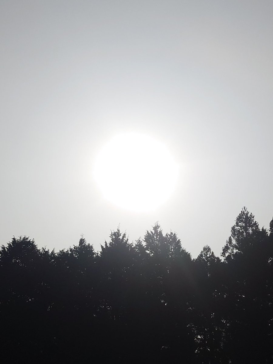 片山　五郎 tweet media