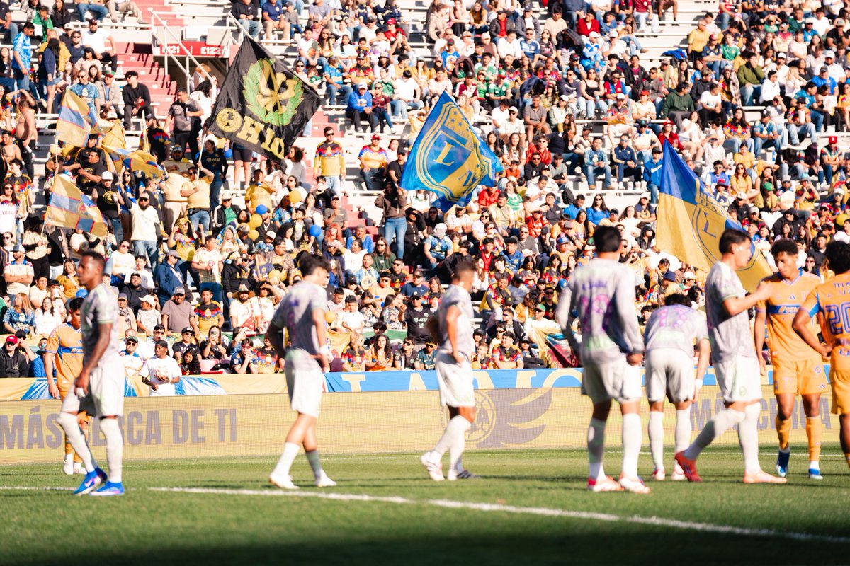 Arkansas Razorbacks 🐗 tweet media