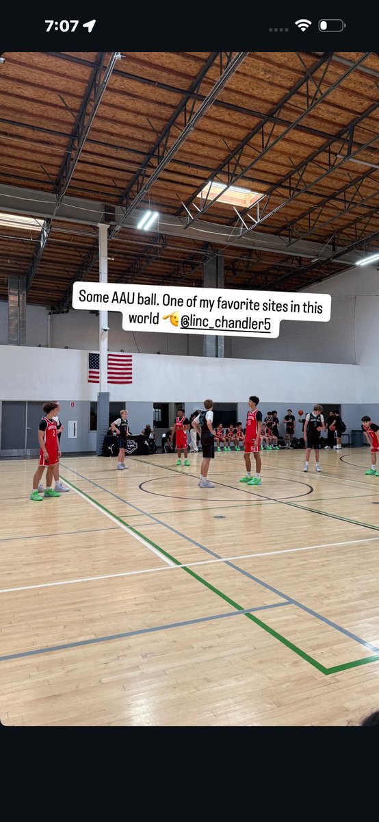 Steins Studs tweet media