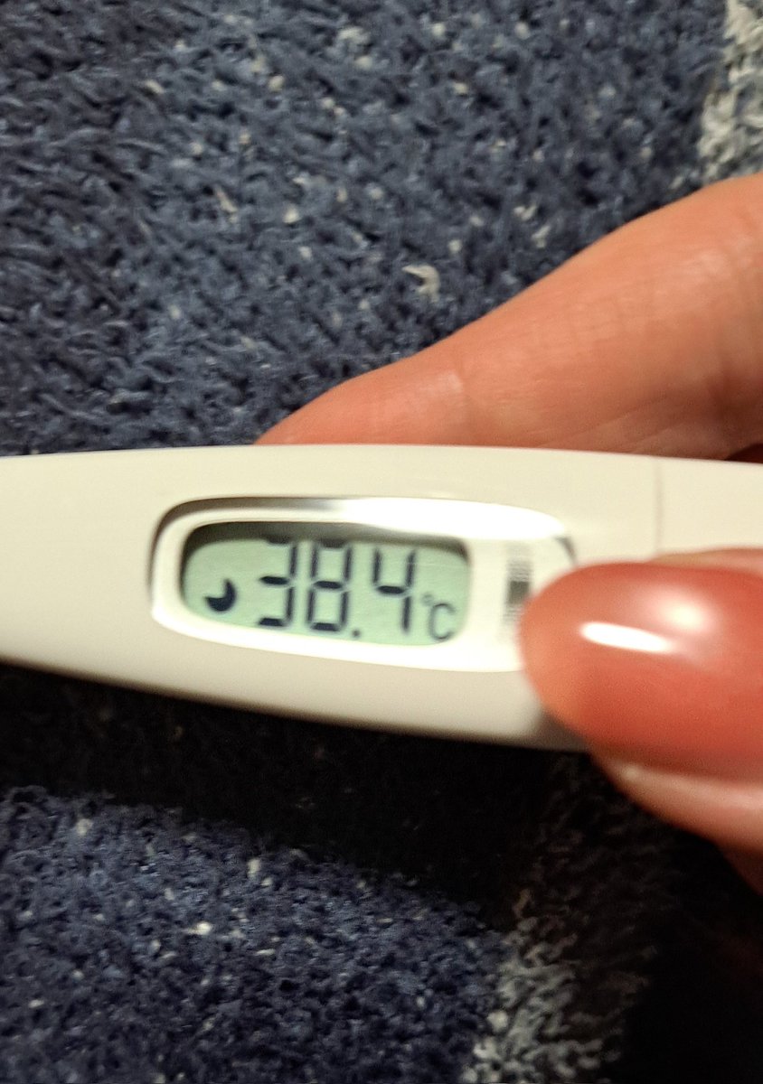 まぁーちゃん⭐ tweet media