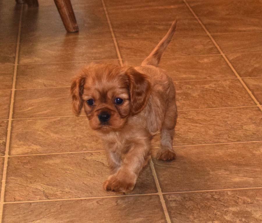 Jeremy Jacobs, MD, MHS, FASCP tweet media