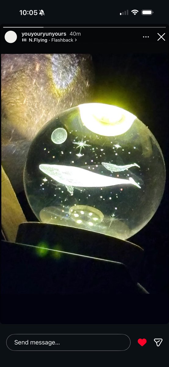 &luce 🌷 ‎𝄢..°♡♬⋆☘︎˖˚٠.❤︎ tweet media