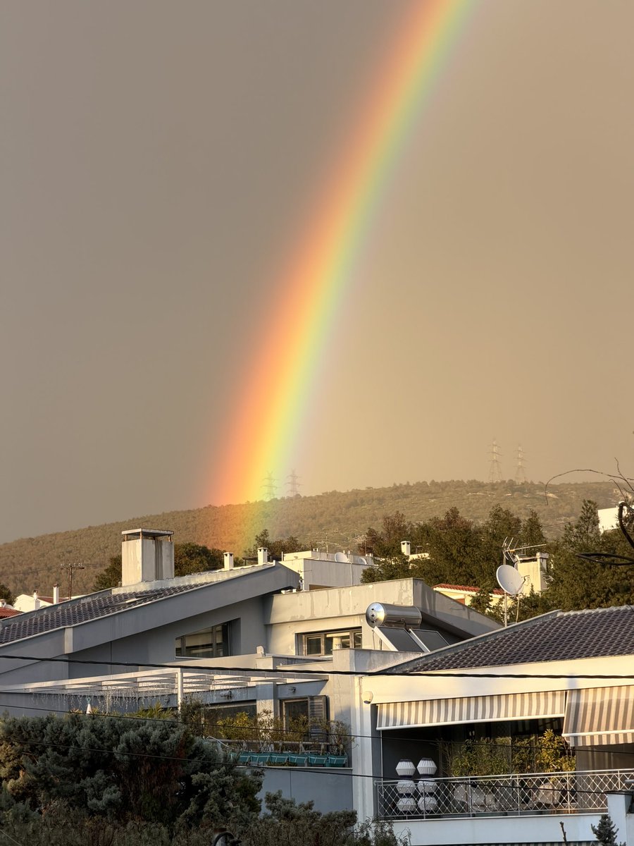 Bruno Rodrigues tweet media