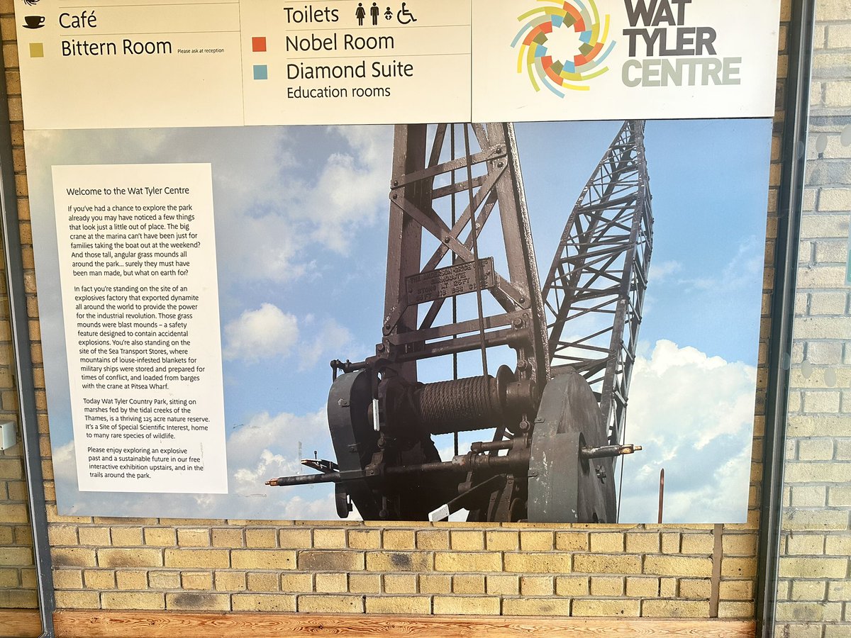 🥇 🐾 🎀 𝒜𝓋𝒶𝑒 𝒥𝒶𝑒 𝒦𝒶𝓉𝓏 🎀 🐾 🥇 tweet media