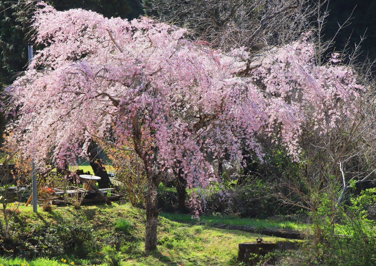 片柳弘史 tweet media