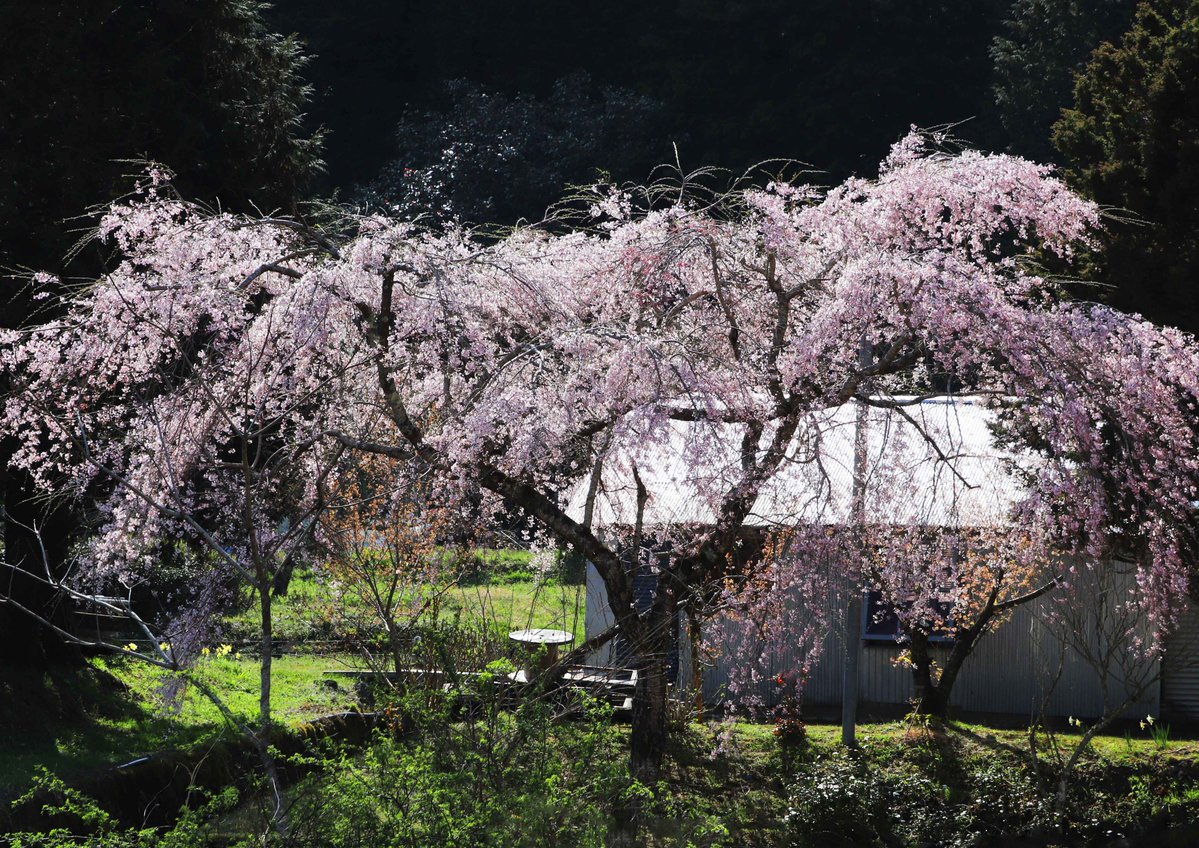 片柳弘史 tweet media