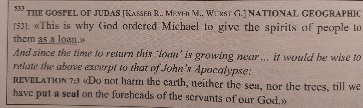 ThisGentlePlace tweet media