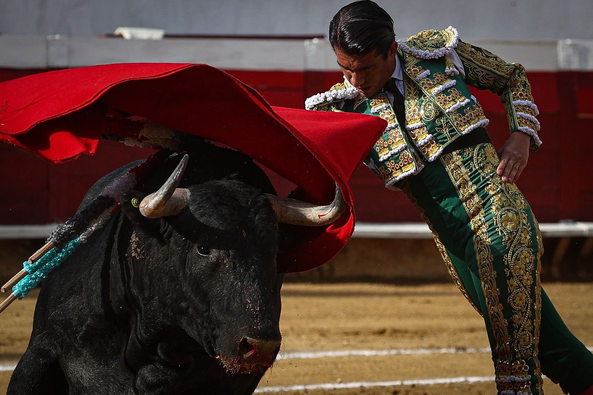 NTR Toros tweet media