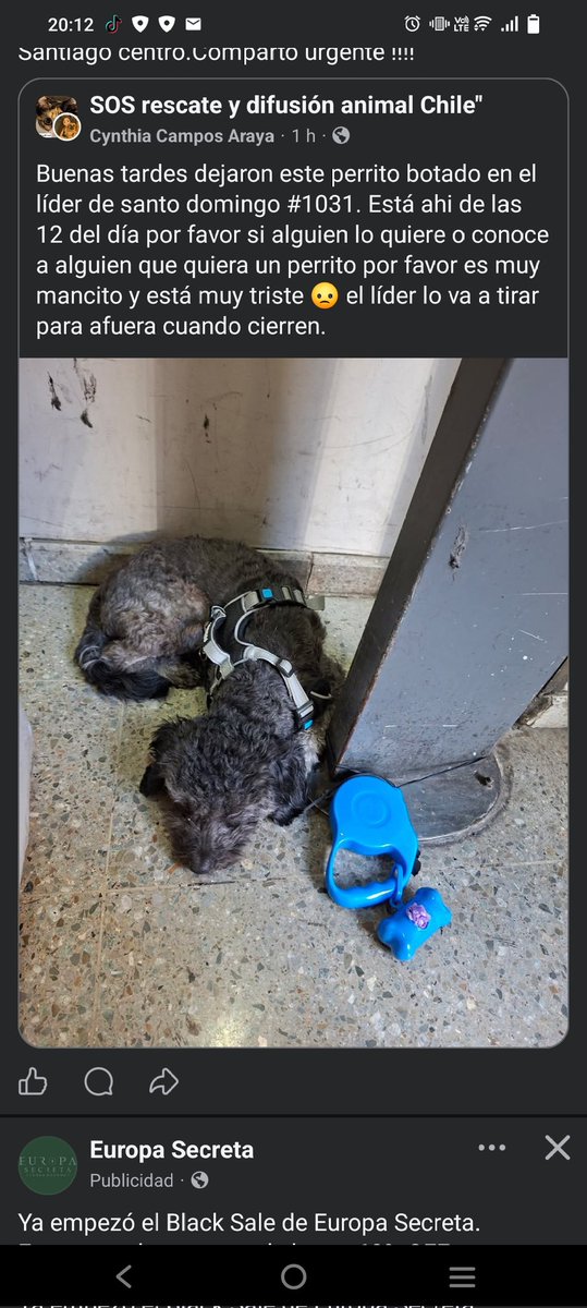 Mauricio🎸🎶🎻 Stbn tweet media