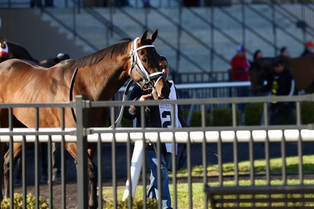 Resolute Racing tweet media