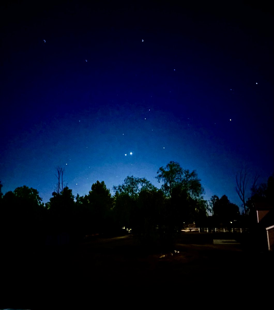 3I ATLAS PASSENGER tweet media