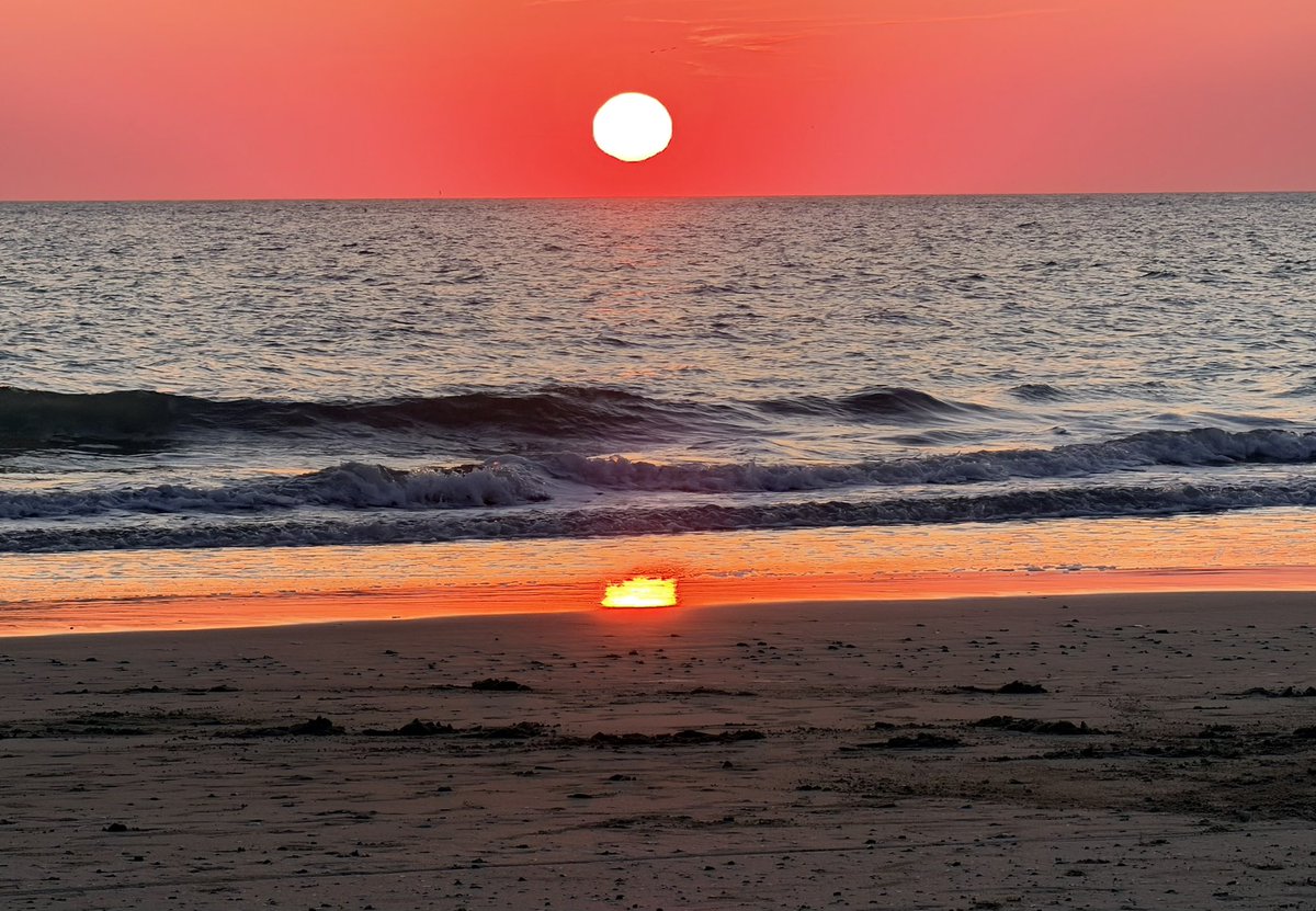 Carpe Diem...🍀 tweet media