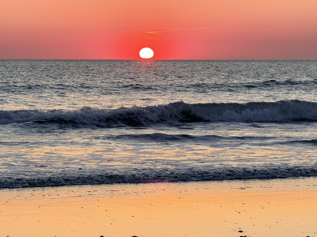 Carpe Diem...🍀 tweet media