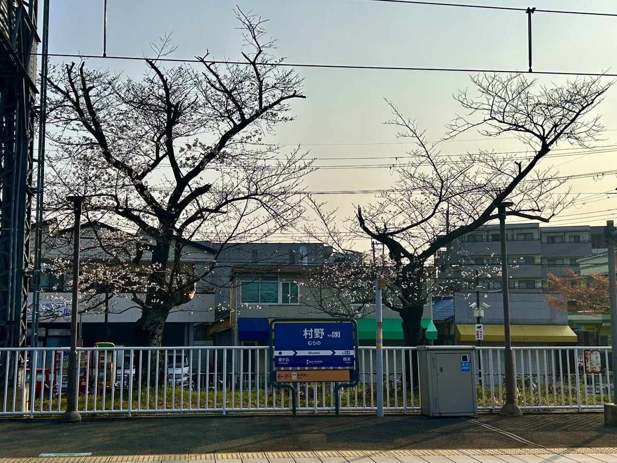 kanbai_banjo's tweet image. Sunday morning

村野駅の桜、今年は切っちゃったので一休みやね

撮影メモ）
March 29, 2026
Rollei35 Tessar 3.5/40, Kodak ColorPlus200
#iphone14 #京阪交野線村野駅 #サクラ #rollei35 #goodmorning
