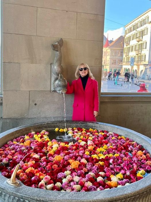 NewInZurich tweet media