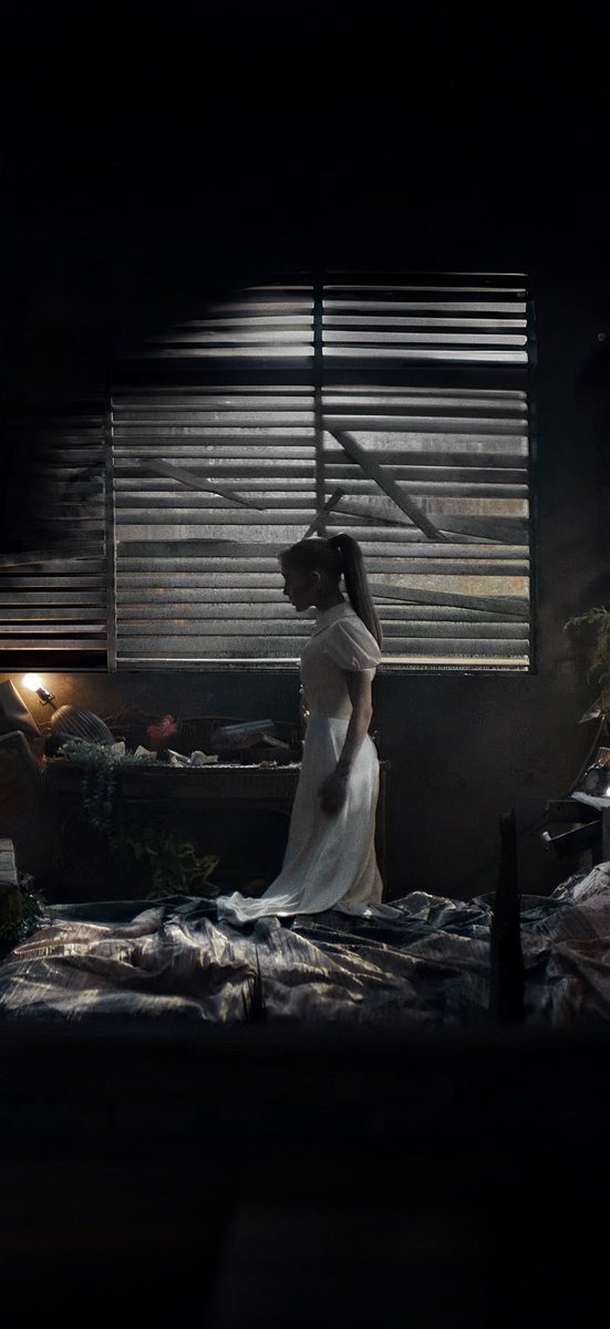 darianabrande tweet media