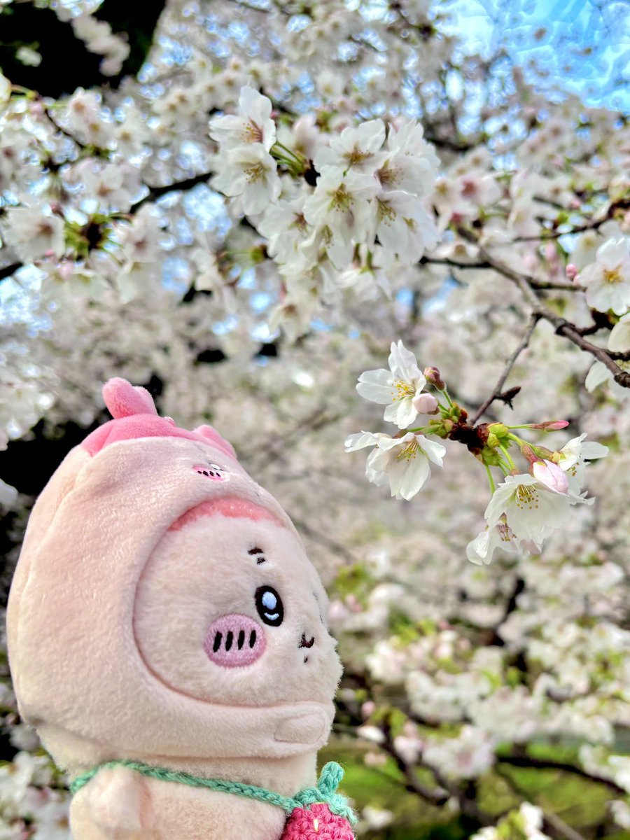 ちゃん tweet media