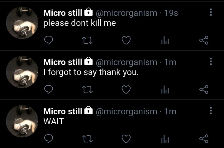 #🪡 MUSE·°• tweet media