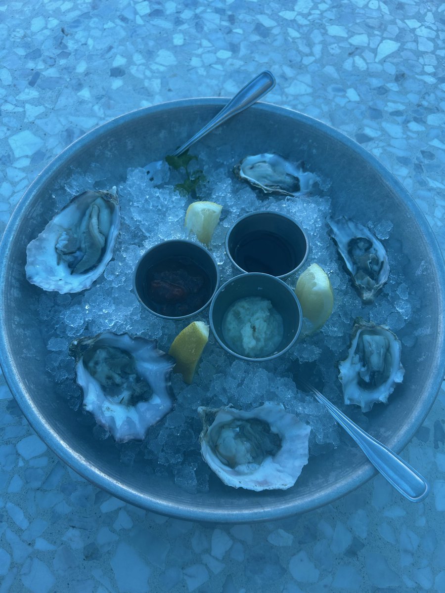 Modern Day Investing tweet media