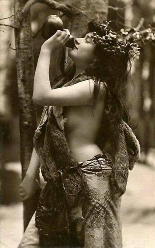 Visio Smaragdina tweet media