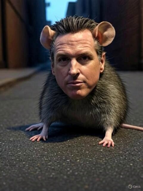 Nathan Thompson tweet media