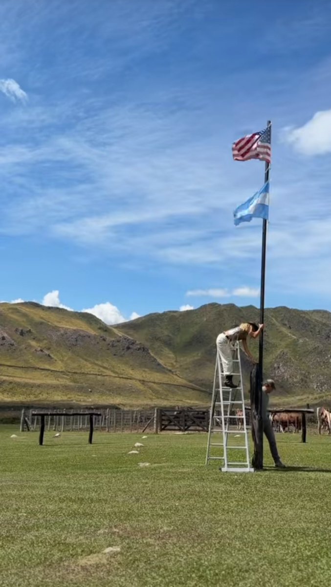 Meme Worschitz 🌊☀️ tweet media