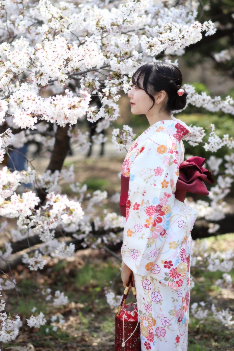 さくら🌸　@latte撮影会 tweet media