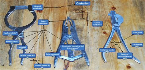 Really and Truly, for sure! tweet media