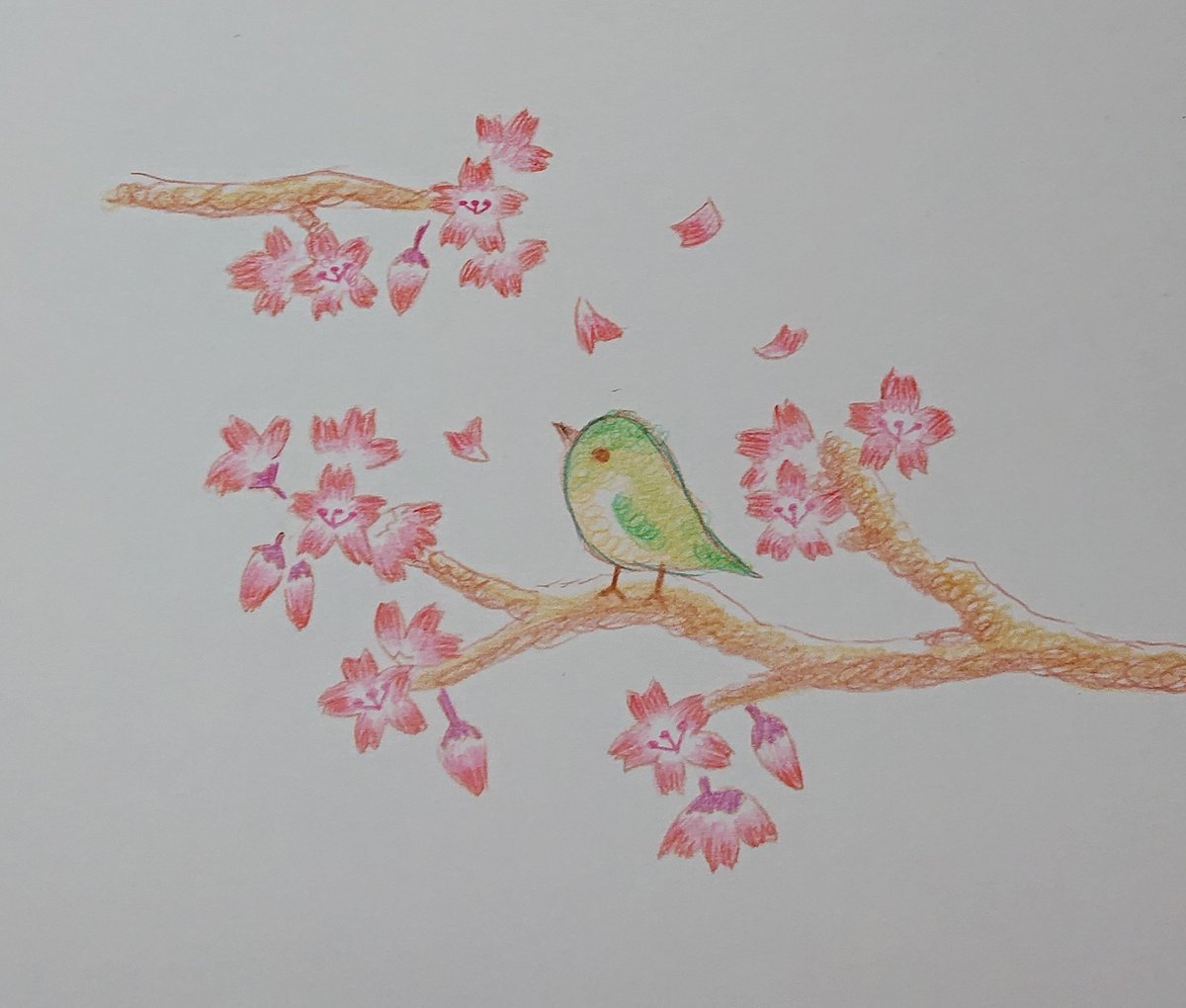 らくがき🌸