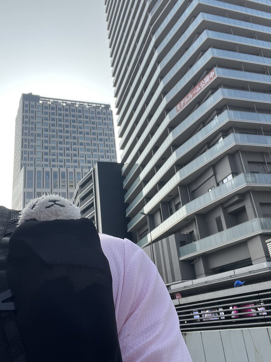 隼兎🐰🐼 tweet media