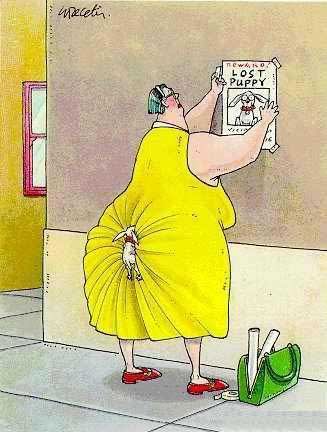 Zenia Adamos 🇺🇸🇺🇸🇺🇸 tweet media