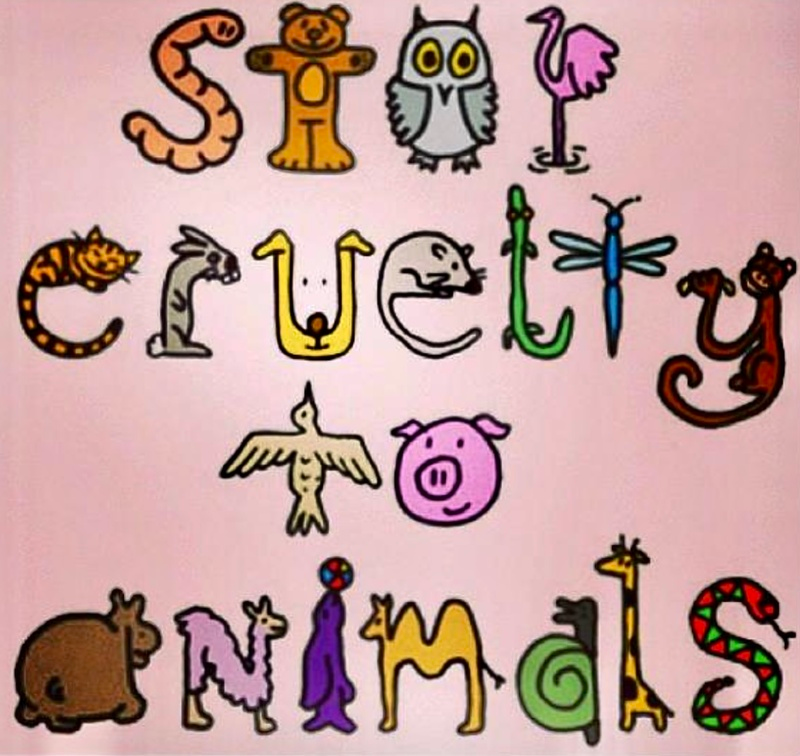 Vegan Future tweet media