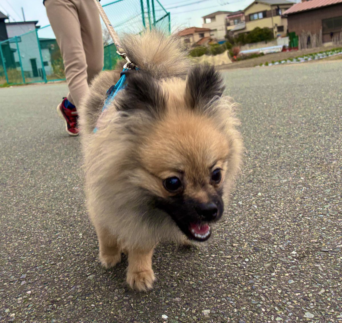 ひろしーず tweet media