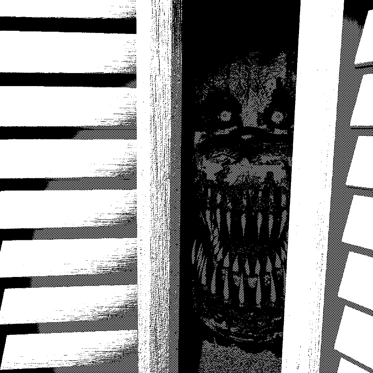 CavegolMiPastor🪖🛡 tweet media