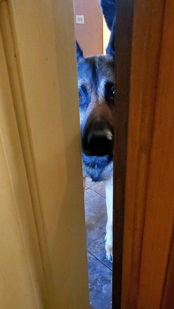 JessicaS tweet media